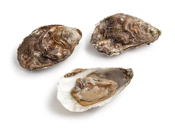 Forget sexy-time foods, the best aphrodisiacs come from the real relationship work