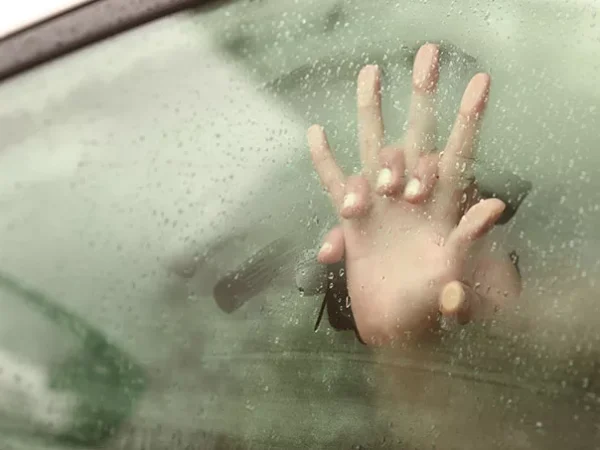 Finding the freedom to ‘f*ck like an animal’