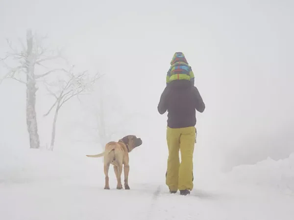 Winter Guide: Take a hike with these guided local tours