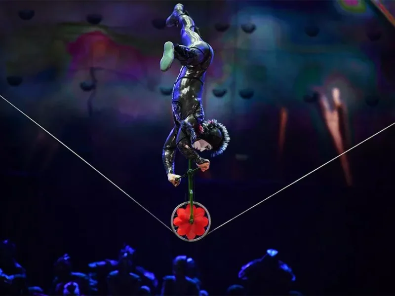 Cirque du Soleil OVO adds a&nbsp;seventh performance to its PPG Paints Arena tour stop