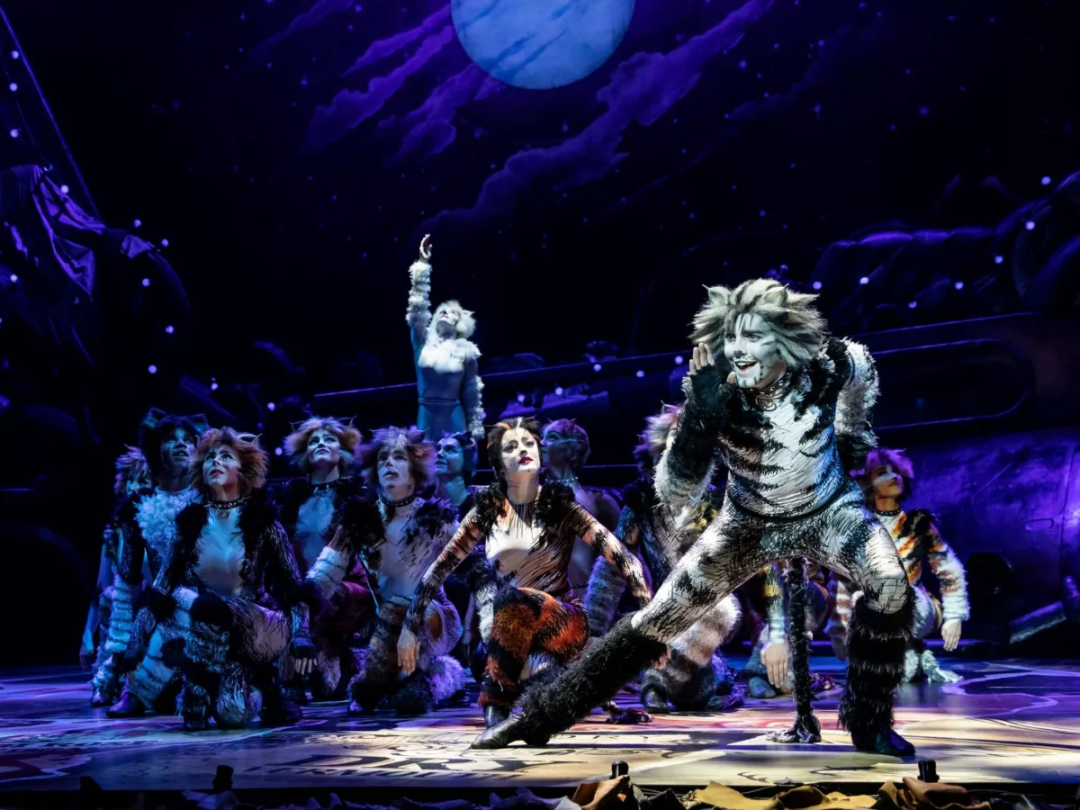 Cats, the musical, adds a fresh layer of litter to mask the stink of Hollywood’s turd