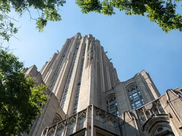 University of Pittsburgh libraries are still open during the coronavirus closures, for some reason