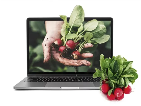 Get fresh produce while supporting local farmers with the Pennsylvania Farm Product Directory