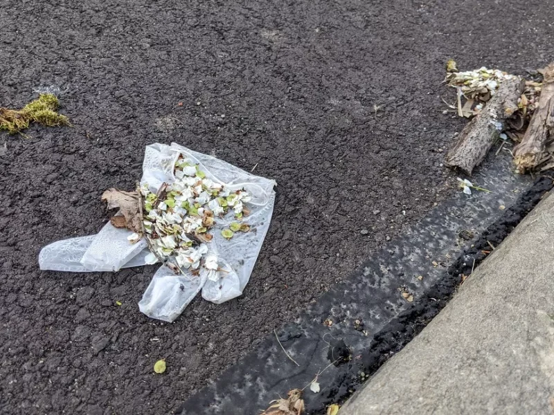 Pittsburgh residents express frustration over PPE litter found throughout city