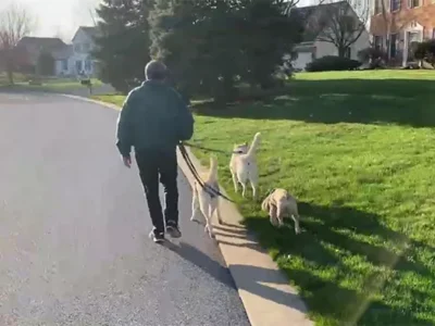 60-Second Documentary: Gyms may be closed, but this 70-year-old is determined to stay healthy