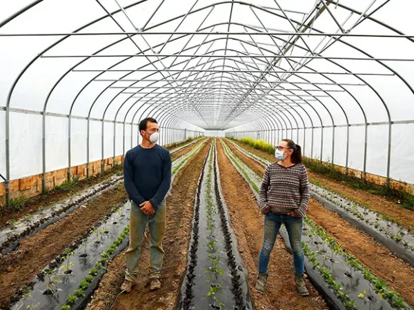 Lawrenceville and Bloomfield markets lead the way, open with pandemic protocols