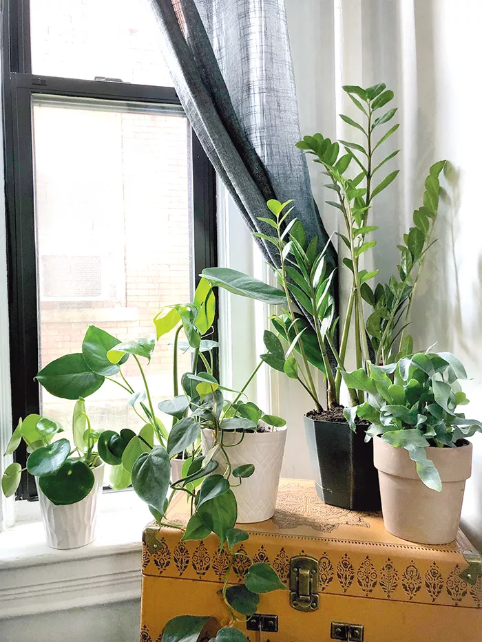 modern plants indoor Mini Wood Indoor Plant Stand with Ceramic Pot