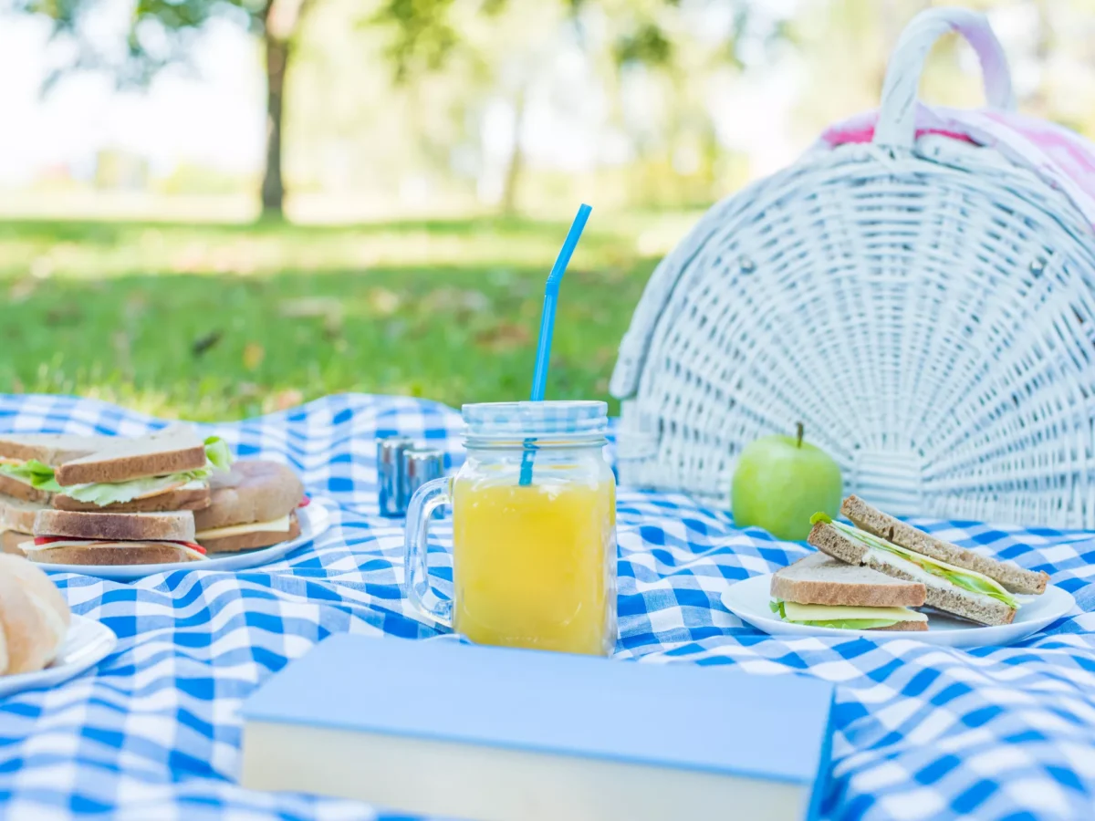 How to have a good picnic, because all your favorite summer activities are canceled
