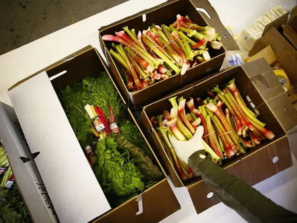 How to bring local farms to your table