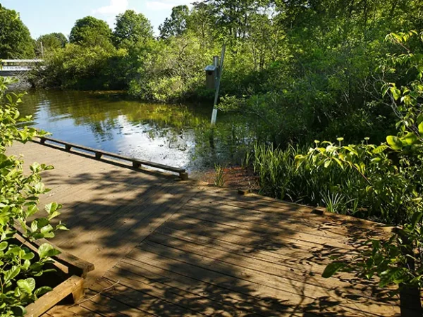 Pennsylvania state parks need $1.4B for infrastructure improvements, DCNR says