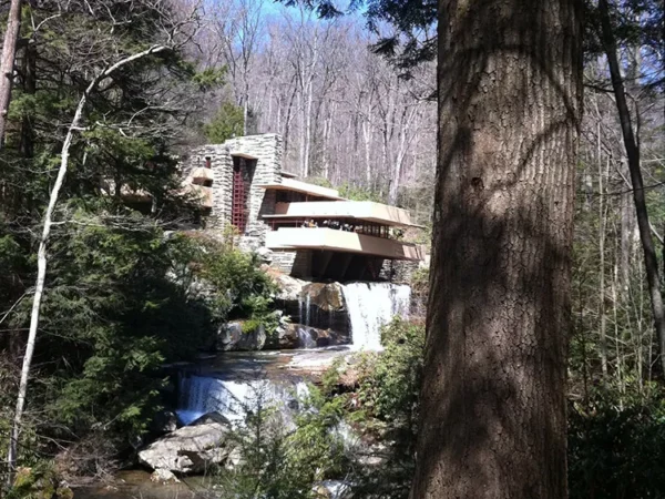 412 Food Rescue to distribute food boxes at Fallingwater