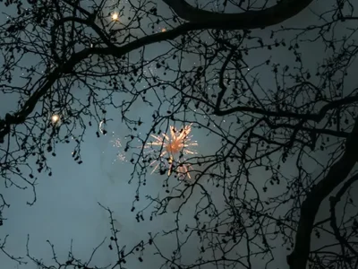 How to deal with fireworks when suffering from PTSD