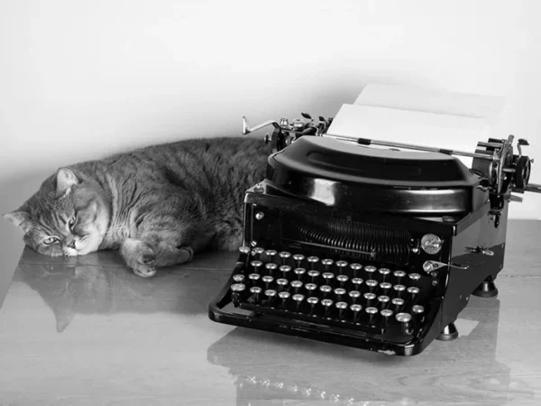 This week’s Letters to the Editor: Parks, Masks, and Trolls