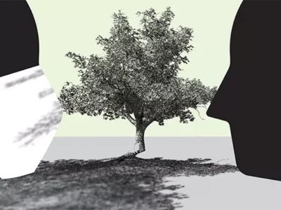 Searching for Serenity