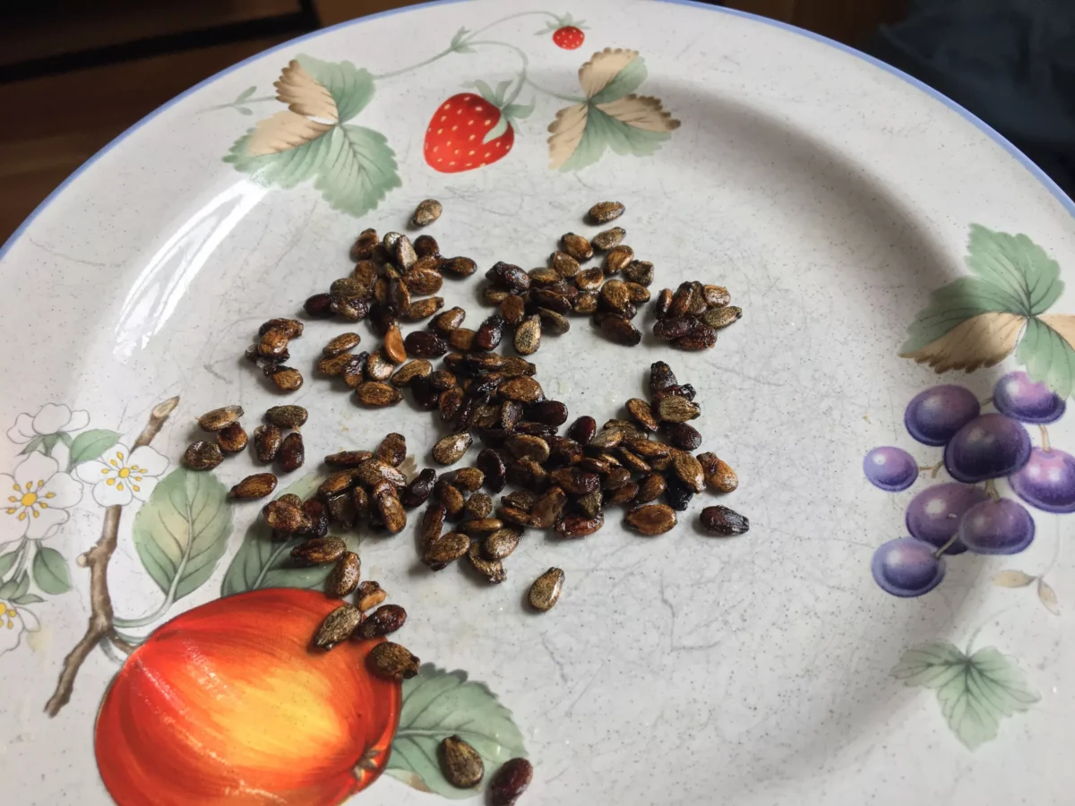Yes, you can roast leftover watermelon seeds and they’re an interesting delight