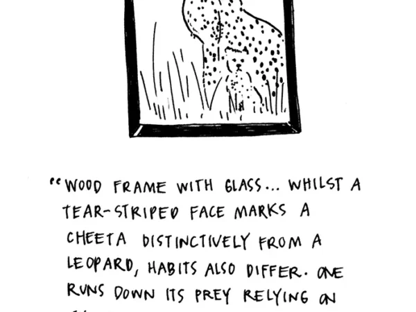 For Sale With Baggage: Cheetah vs Leopard