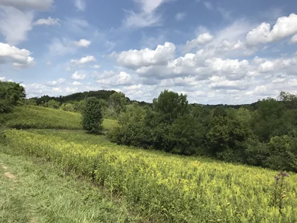 Five amazing trails to enjoy in Pittsburgh’s best hiking season