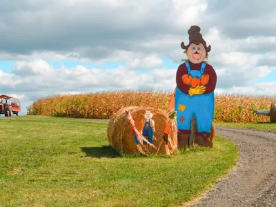 2020 Fall Guide: Family and Kid Events