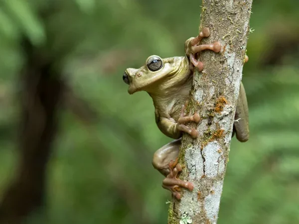 2020 Fall Guide: Film