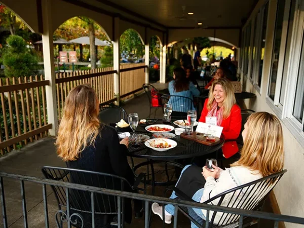 Best Place For a Girls Night Out, Best Outdoor Dining, and Best Wine List: Narcisi Winery