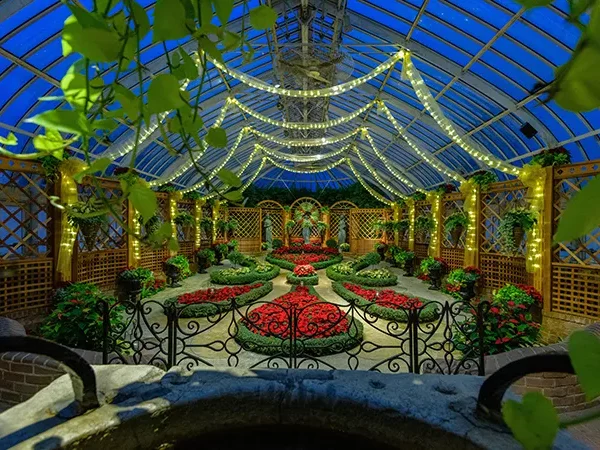 Seven Days of Arts and Entertainment: Nov. 19-25