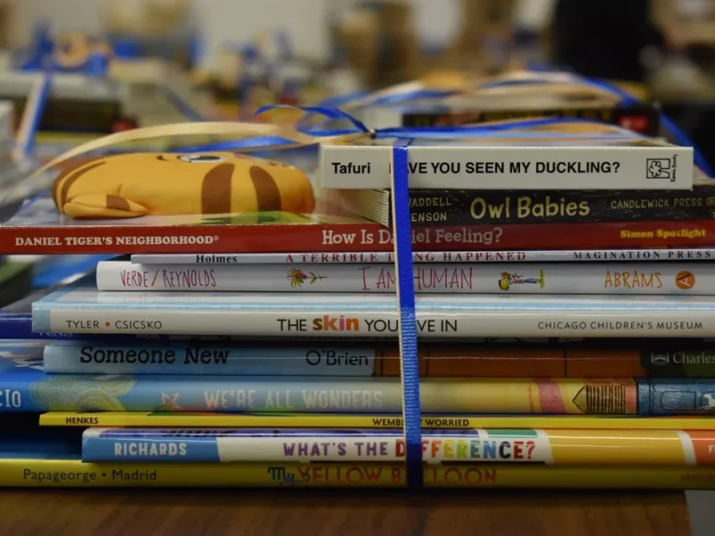 Books for Change requests donations for its anti-racist book drive