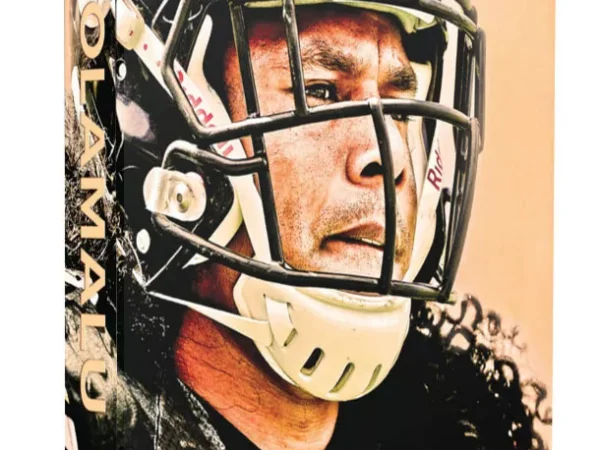 Former Pittsburgh Steeler Troy Polamalu recognized in new biography as extraordinary on and off the field