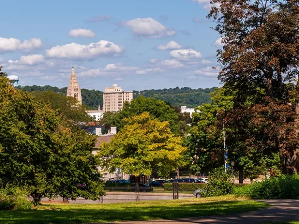 Pittsburgh chosen as Reforestation Hub to increase its urban tree cover