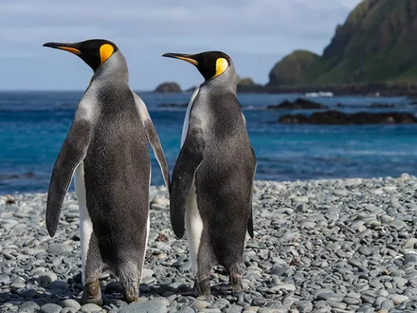 Seven Days in Pittsburgh: Feb. 18-24