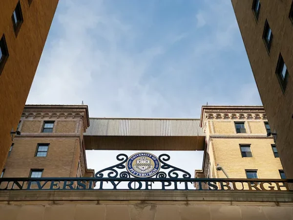 United Steelworkers want anti-union efforts against Pitt faculty and grad students to end