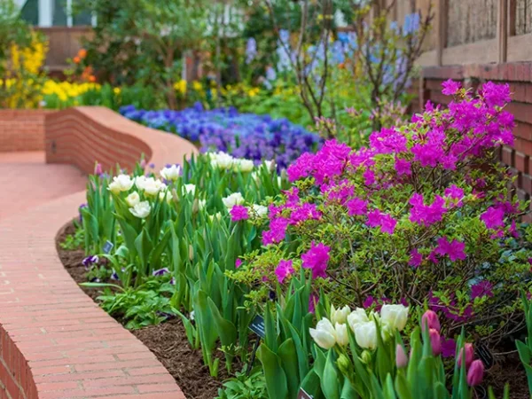 Seven Days in Pittsburgh: March 11-17