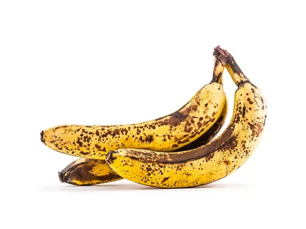 Swissvale startup Ecotone turns food waste into renewable energy and fertilizer