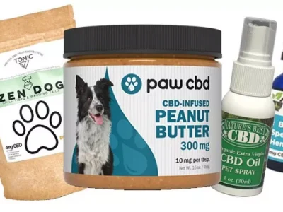 CBD treats, tinctures, and pet spray for hyperactive canines