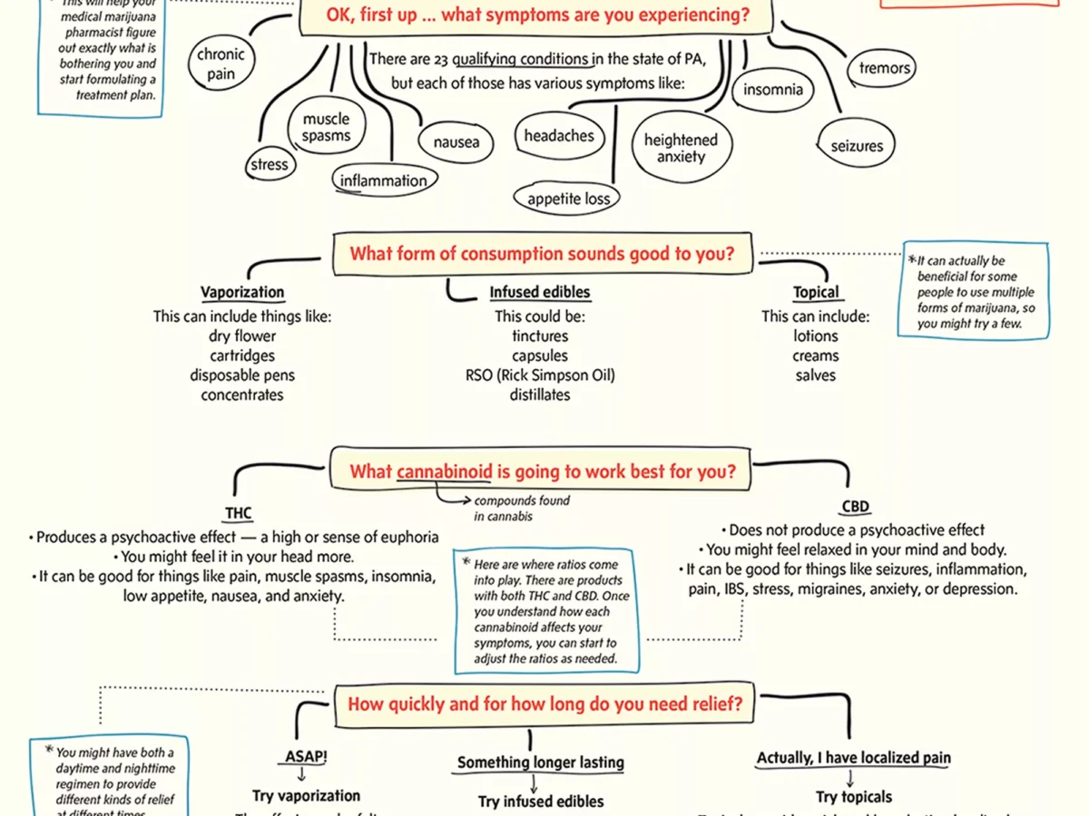 Medical Marijuana Flow Chart for Weed Novices