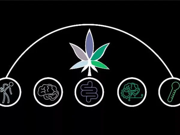 Five questions about getting your medical marijuana card, answered by an expert