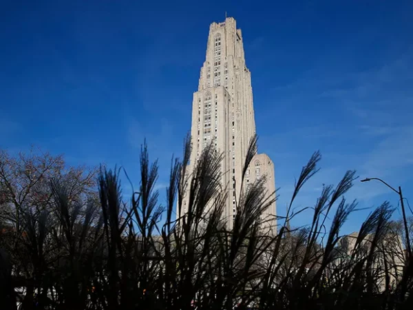 Pitt LGBTQIA+ Task Force proposes LGBTQIA+ center and support for faculty, staff, and students