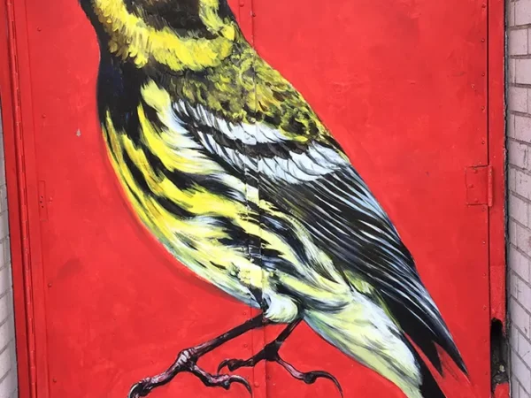 Seven Days in Pittsburgh: May 6-12