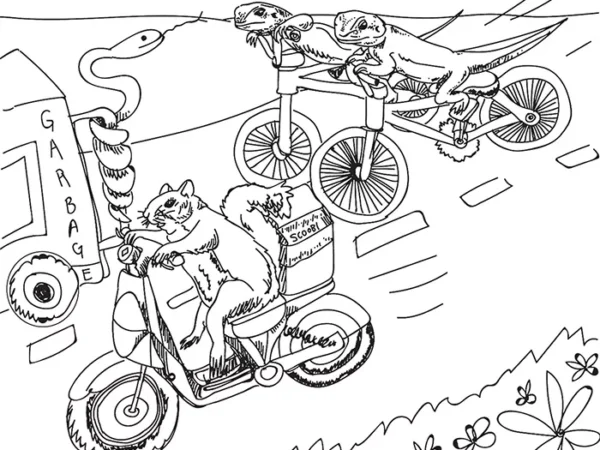 Animal Public Transit Project