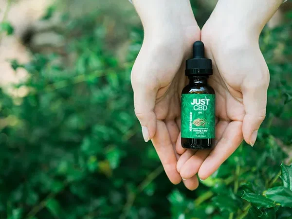 The Best CBD Gummies and More