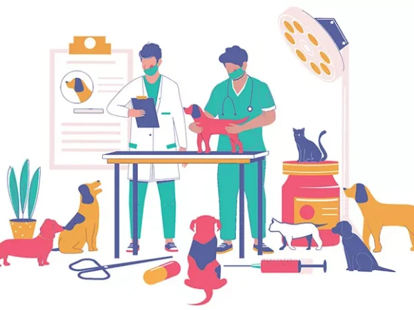 Increased demand for pandemic pets created increased demand for pandemic vets