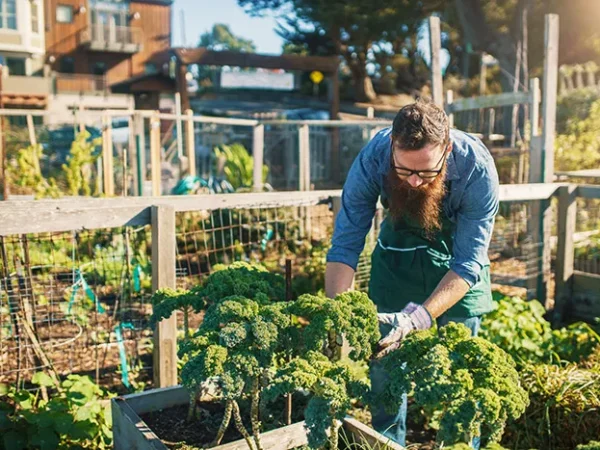 Pittsburgh partners with German city to develop sustainable agriculture policies