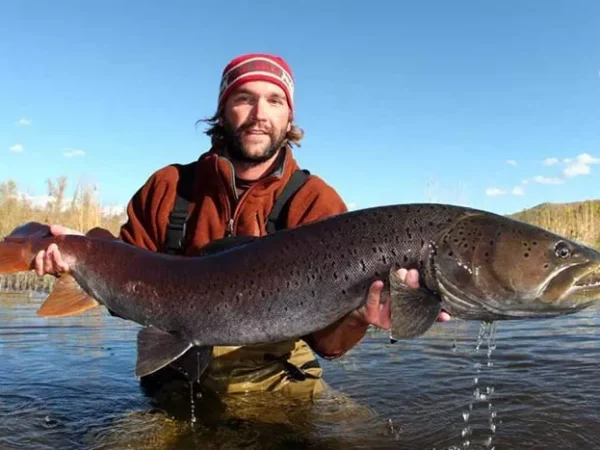 Carnegie Museum of Natural History brings Monster Fish to Pittsburgh