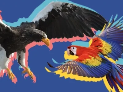 Two escaped exotic birds in Pittsburgh were recaptured within 24 hours of each other