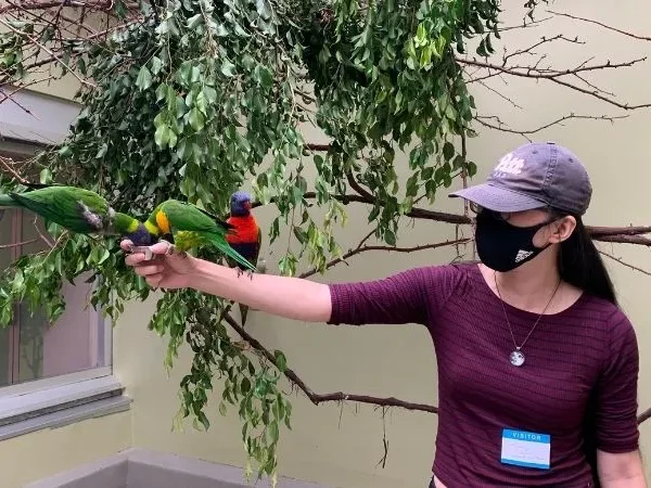 National Aviary’s new exhibit highlights forest habitats with fun, interactive programming