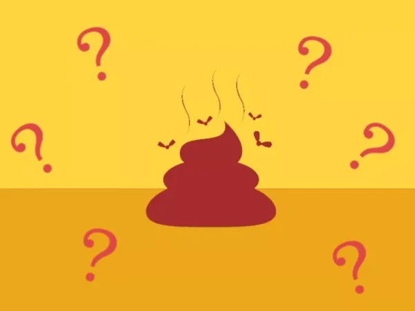 Nebby post alert: Search is on to identify mysterious poops