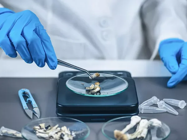 Can magic mushrooms help fight mental illness? A bipartisan group of Pa. lawmakers think so