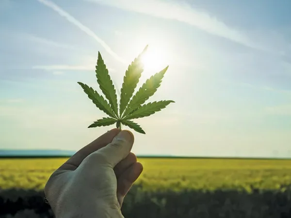 Herbal Care Rx Offers Chance to Find Relief From Anxiety