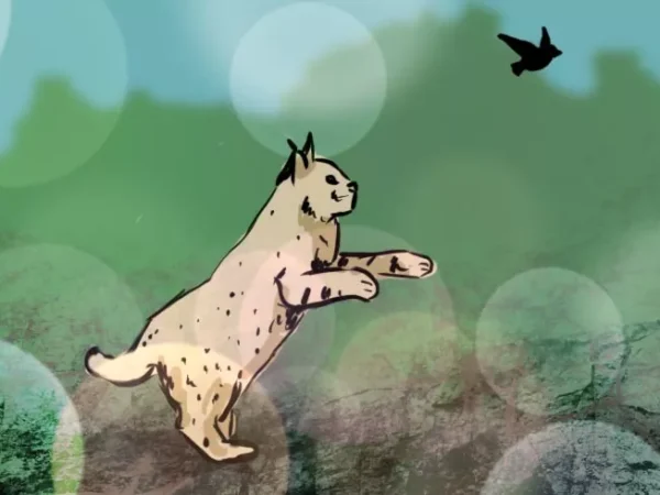 Nebby post alert: Bobcat spotted in East Liberty