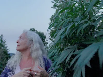 Freeland is an understated tour through the trials of pot farming