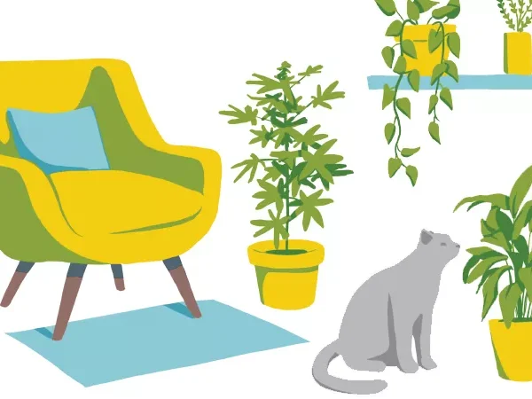 Medical marijuana patients want to grow their own weed. Will the state let them?